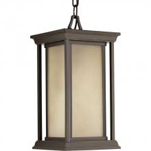 Progress P5500-20 - Endicott Collection One-Light Hanging Lantern