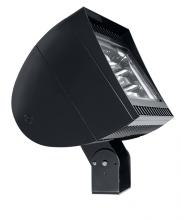 RAB Lighting FXLED300T/PCT - FLEXFLOOD 300W COOL LED