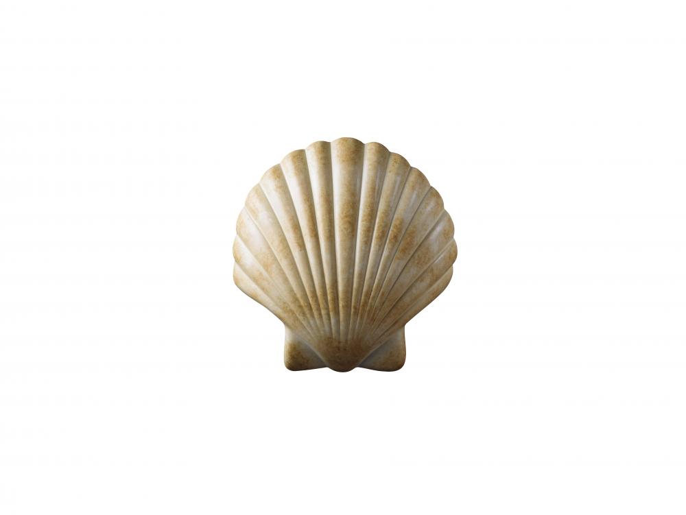 ADA Scallop Shell LED Wall Sconce