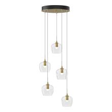 Hubbardton Forge 131123-SKT-STND-86-ZM0709 - Ume 5-Light Pendant