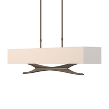 Hubbardton Forge 137655-SKT-SHRT-05-SE4298 - Moreau Pendant