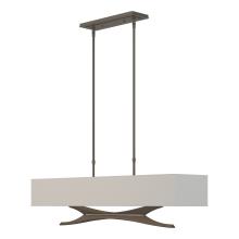 Hubbardton Forge 137655-SKT-STND-07-SJ4298 - Moreau Pendant