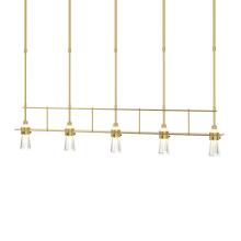 Hubbardton Forge 137725-SKT-SHRT-86-ZM0343 - Erlenmeyer 5 Light Pendant