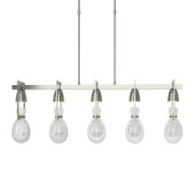 Hubbardton Forge 137810-SKT-SHRT-85-ZM0572 - Apothecary Pendant