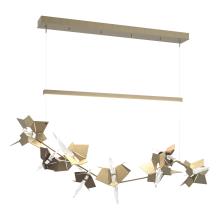 Hubbardton Forge 139813-LED-STND-84-05-CR - Belladonna LED Pendant