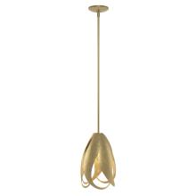 Hubbardton Forge 188770-SKT-MULT-86 - Pental Mini Pendant