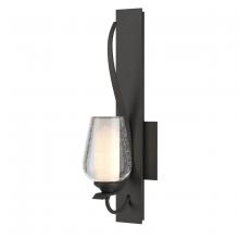  203035-SKT-20-ZS0354 - Flora Sconce