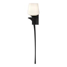  204710-SKT-LFT-10-GG0236 - Antasia Single Glass 1 Light Sconce