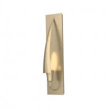 Hubbardton Forge 207420-SKT-84 - Cirque Sconce