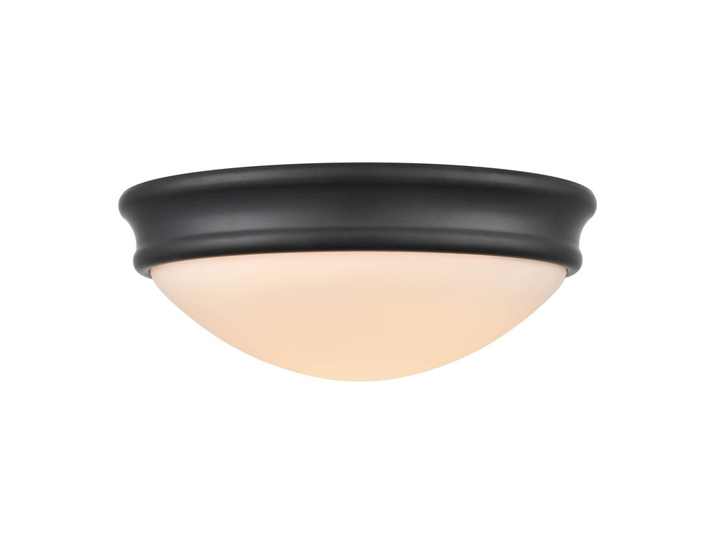 Flushmount Ceiling Light