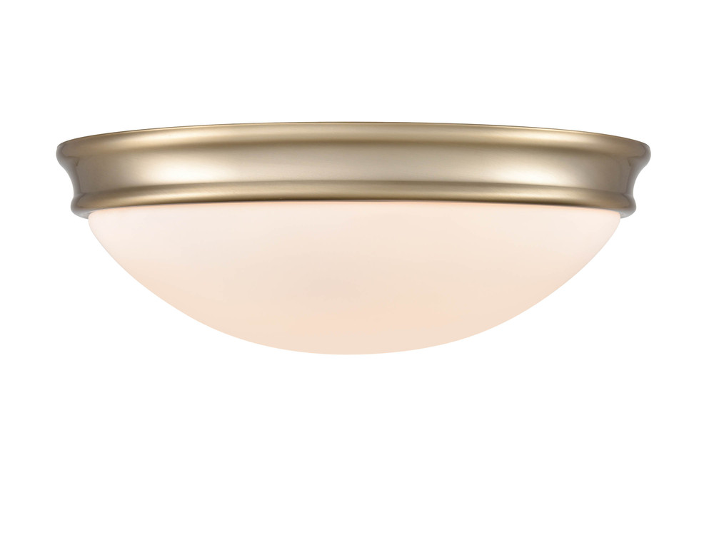 Flushmount Ceiling Light