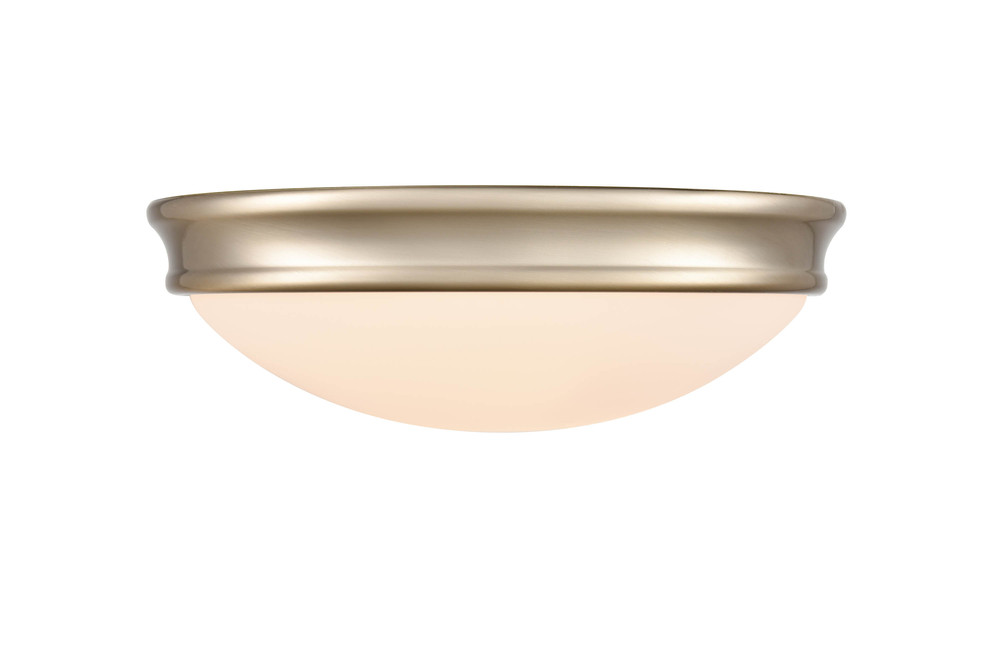 Flushmount Ceiling Light