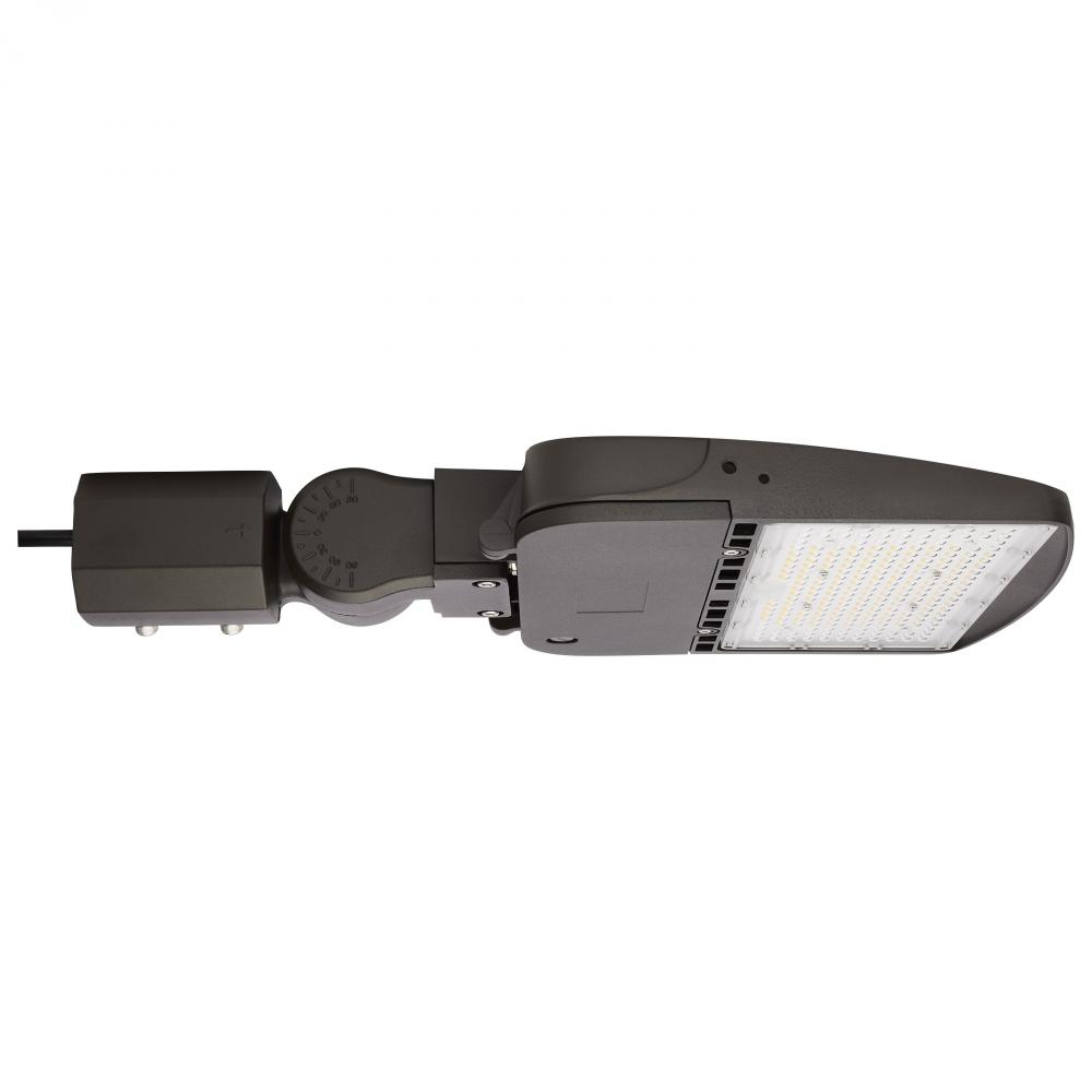 LED Area Light Type IV; 150W; Bronze Finish; 5000K; 120-277V