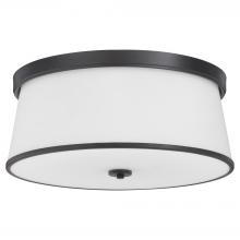 Quorum 3203-20-59 - Weir 20 inches Ceiling Mount, Matte Black