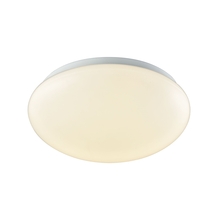 ELK Home CL783004 - FLUSH MOUNT